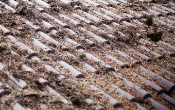 Little Stanney roof cleaning companies