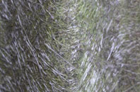 Little Stanney fibreglass roof work